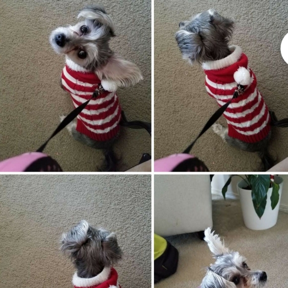 Meet your Posher, Vanessza 🐠Posh Ambassador🐠 - Picture 4 of 16